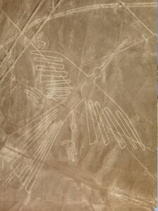 Nasca: Historia, misterio y desierto en un solo destinoExplora las milenarias Líneas de Nasca desde el aire, recorre antiguos acueductos y conoce la cultura preincaica que dejó huella en el desierto peruano. Una experiencia única que combina arqueología, paisajes impresionantes y conexión con el pasado.