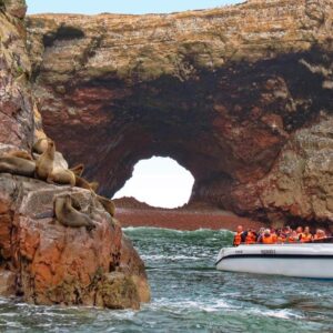 Ica y Paracas 2D1N