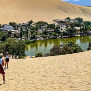 Viaje y Tour a Paracas, Huacachina y Vitivinícolas