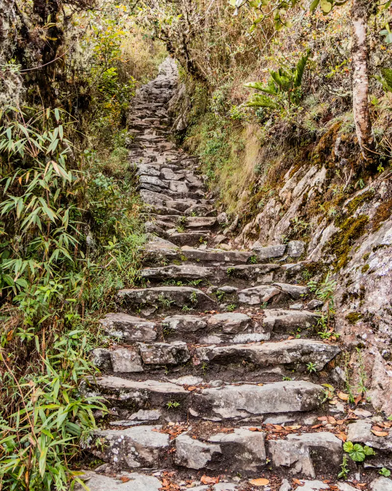 Camino Inca machupicchu ruta