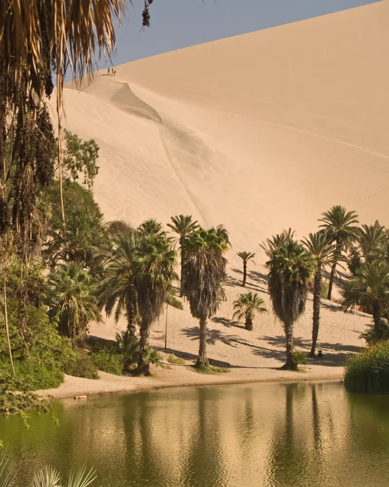 Sandboard y Sandsky Pro en Huacachina (2)
