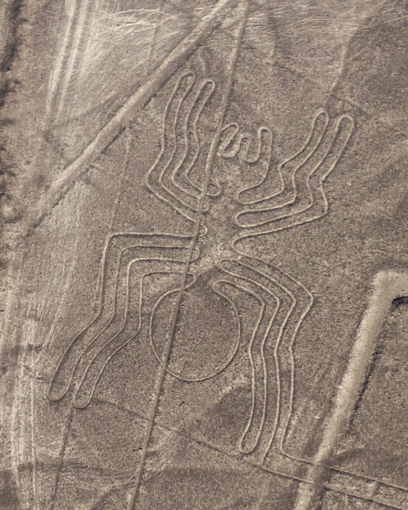Tour por nasca