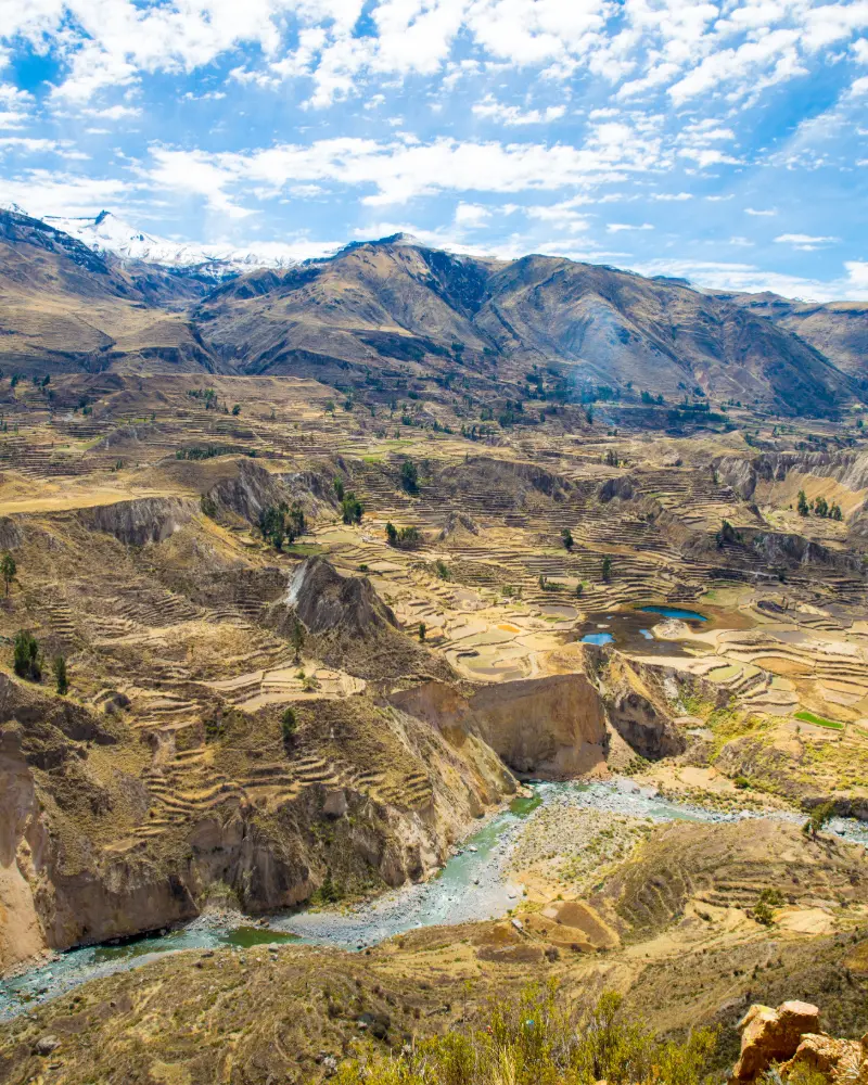 cañon de colca (5)