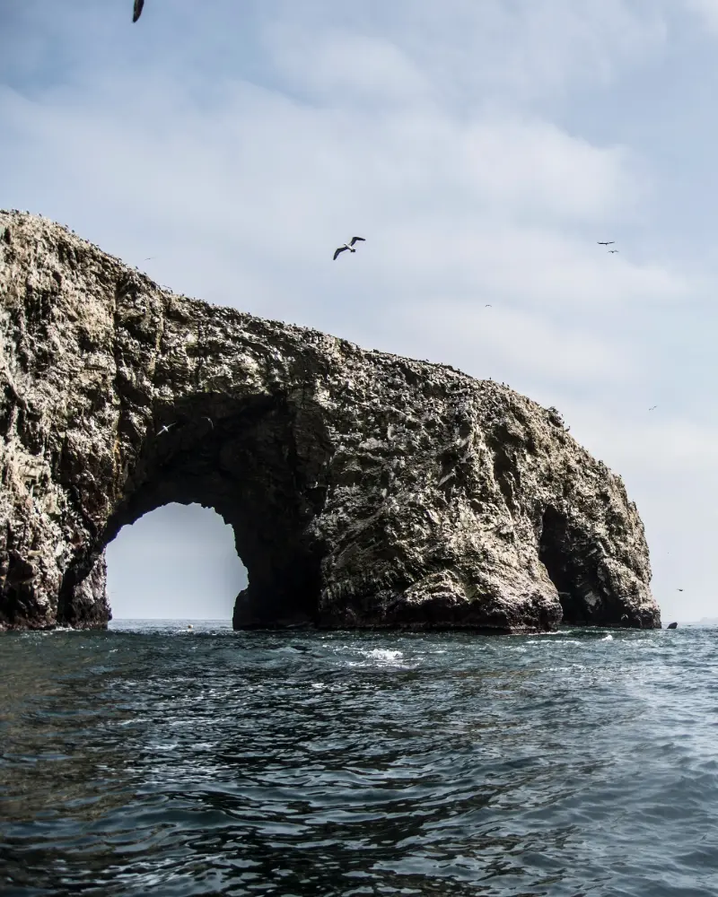 islas balletas