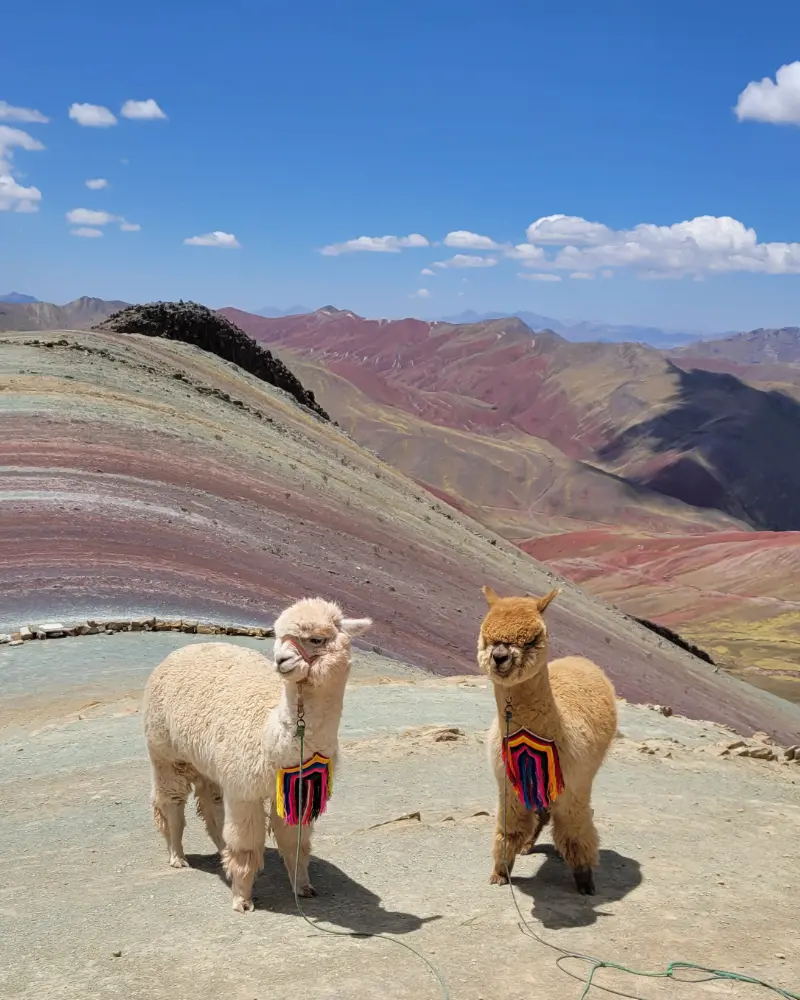mountaña de palcoyo (4)