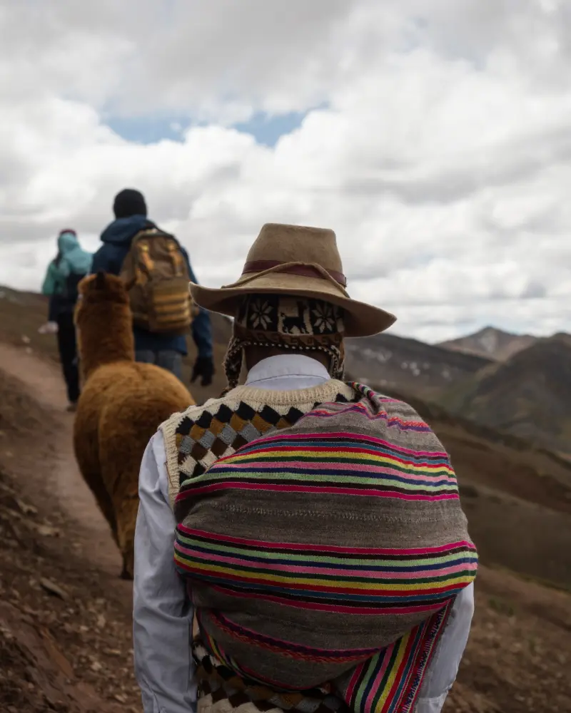 mountaña de palcoyo (5)